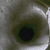 IPV-GT230 - Imagen 6